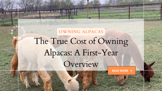 The True Cost of Owning Alpacas: A First-Year Overview