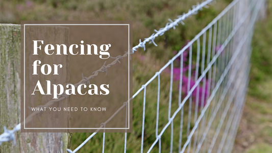 Fencing for Alpacas: What You Need to Know