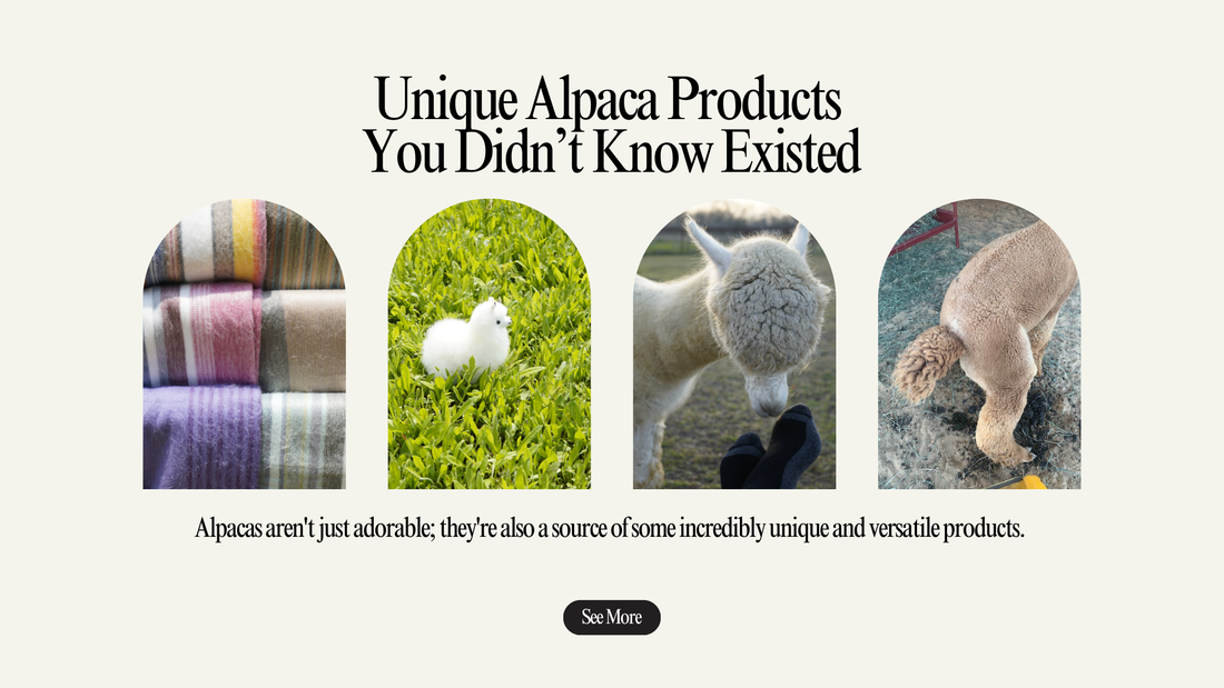 Unique Alpaca Products You Didn’t Know Existed