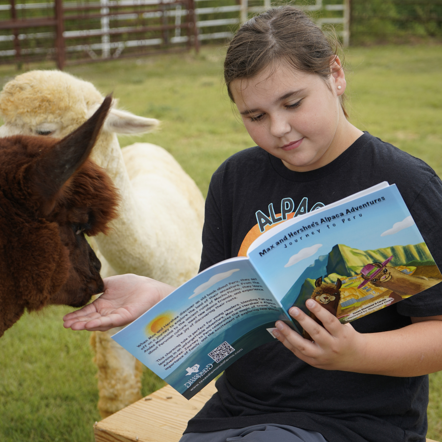 Story Time with the Alpacas!