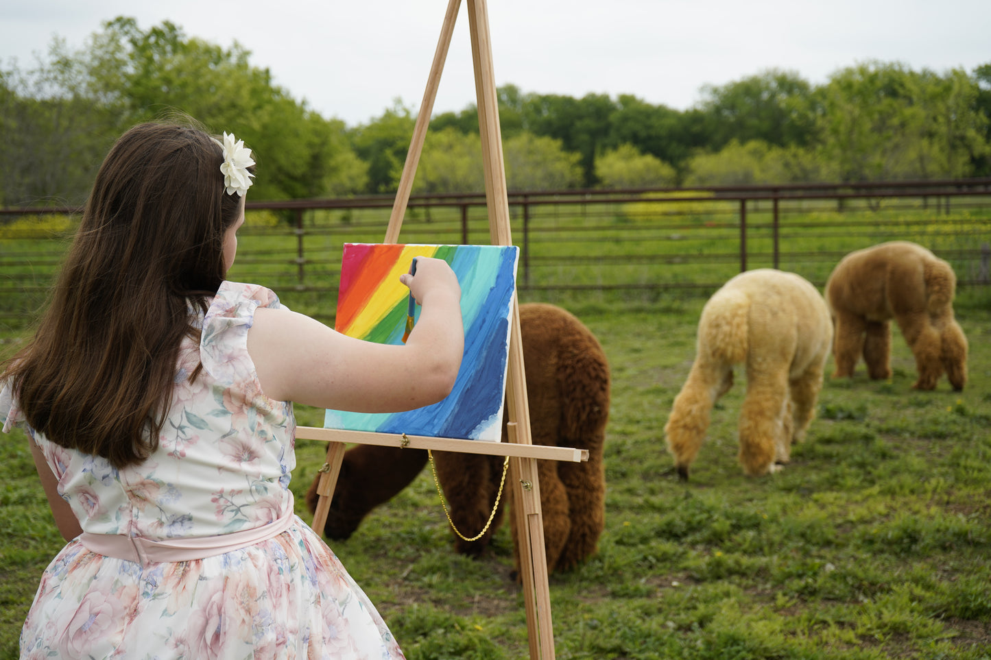 Painting With the Alpacas!