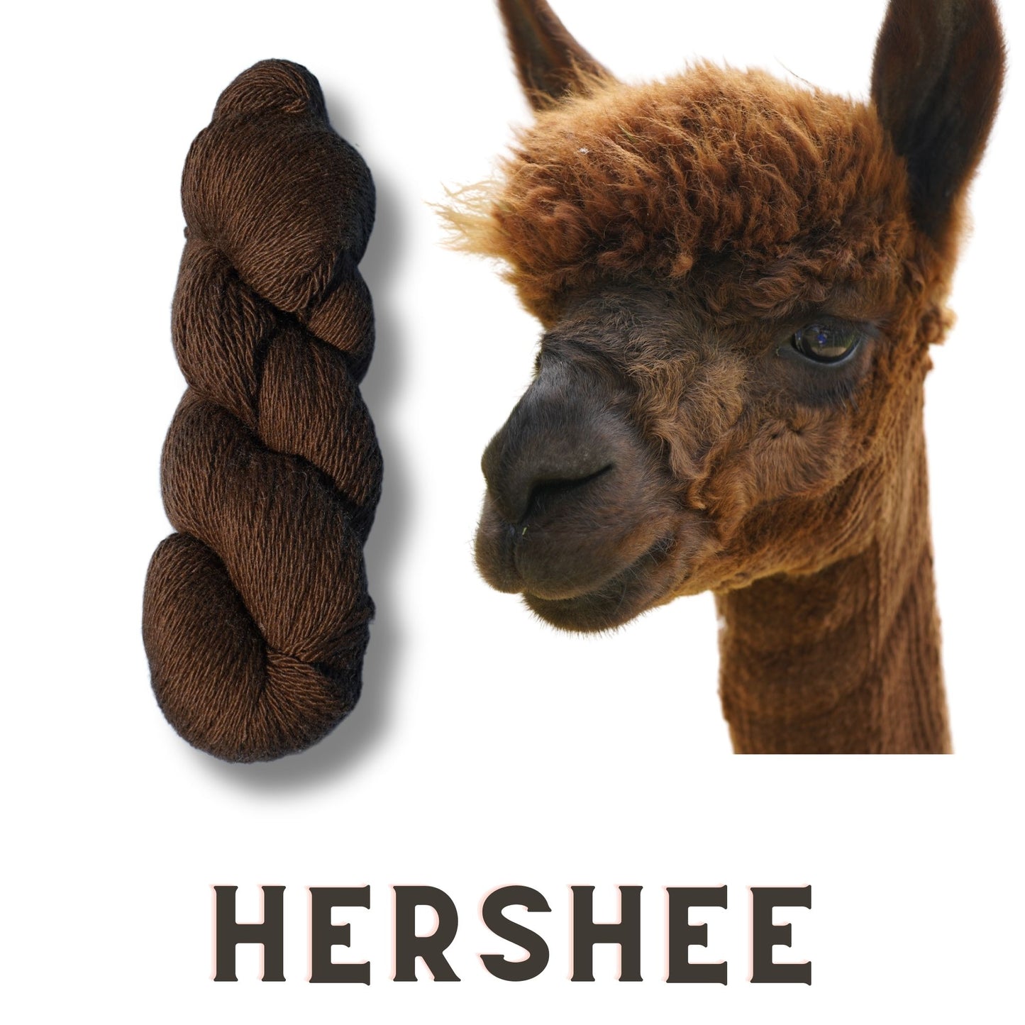 Hershee’s 100% Alpaca Yarn - 3 Ply Worsted Weight