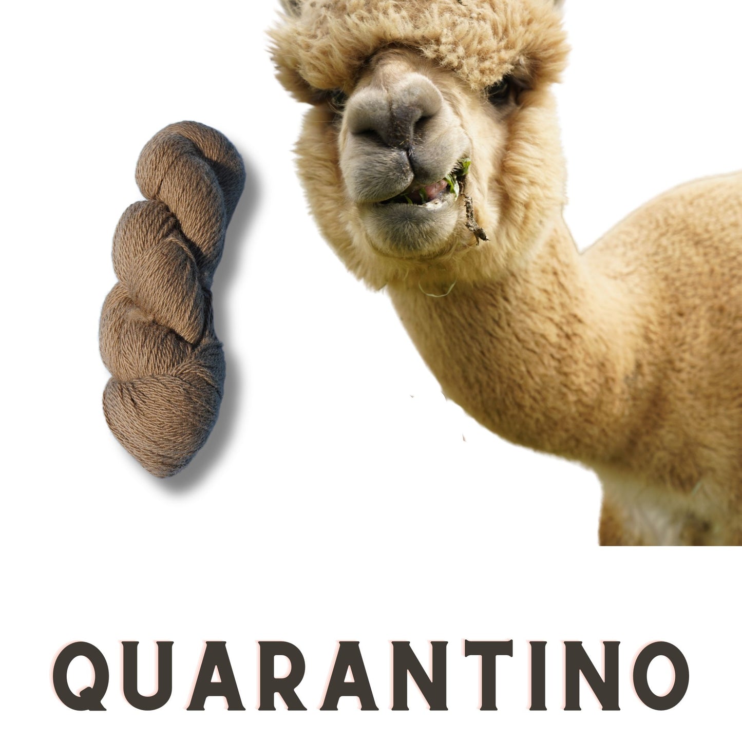 Quarantino’s 100% Alpaca Yarn - 3 Ply Worsted Weight