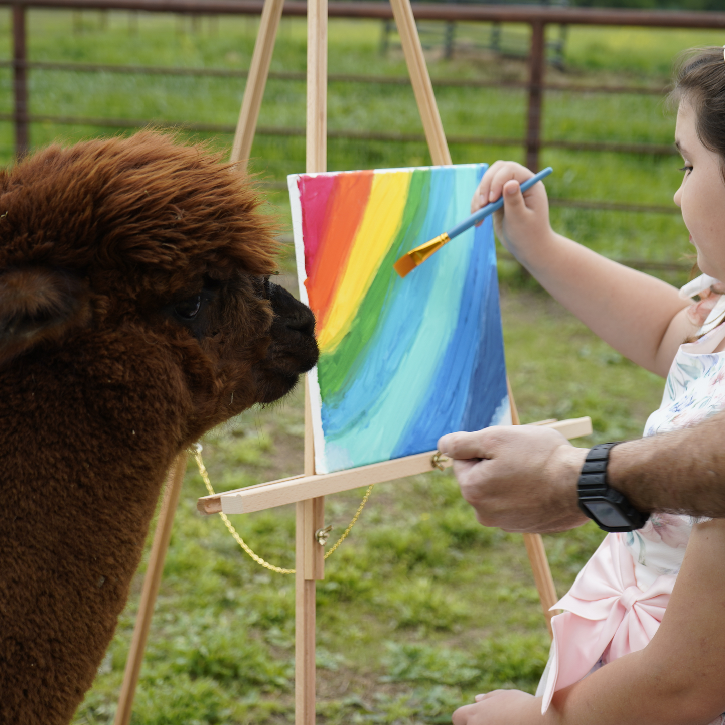 Painting With the Alpacas!