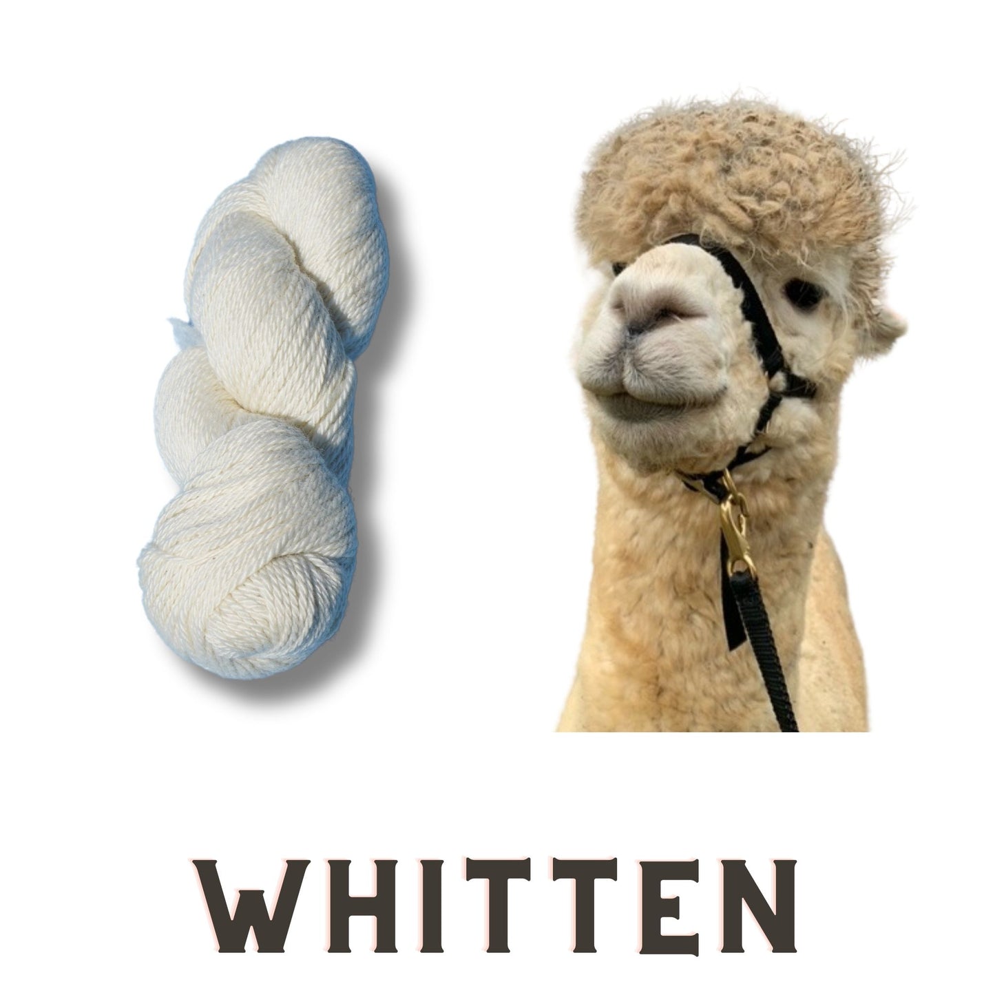 Whitten’s 100% Alpaca Yarn - 3 Ply Worsted Weight